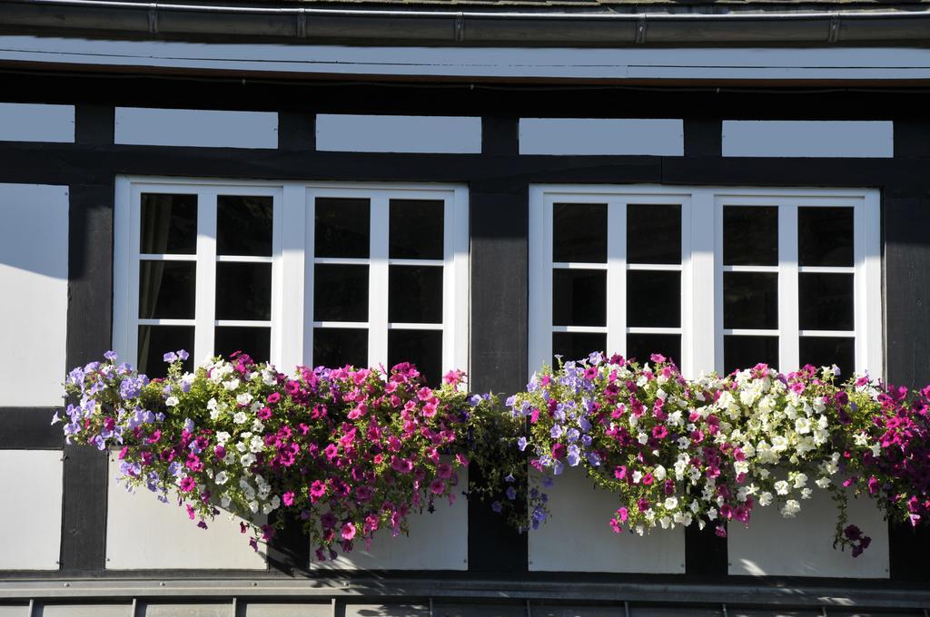 Landidyll Hotel Haus Hochstein 에슬로헤 외부 사진